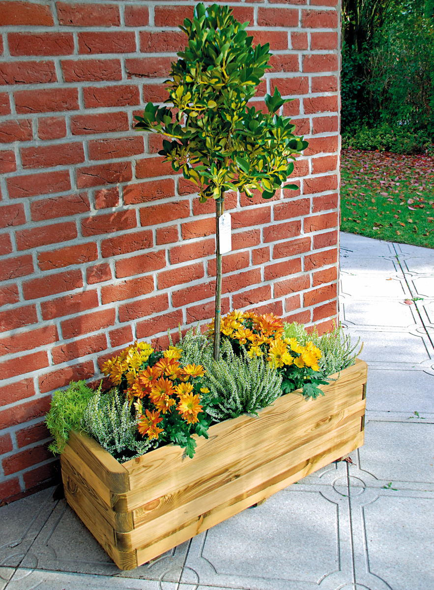 Pflanzkasten INGO 105 cm lang von T&J, Holz kdi