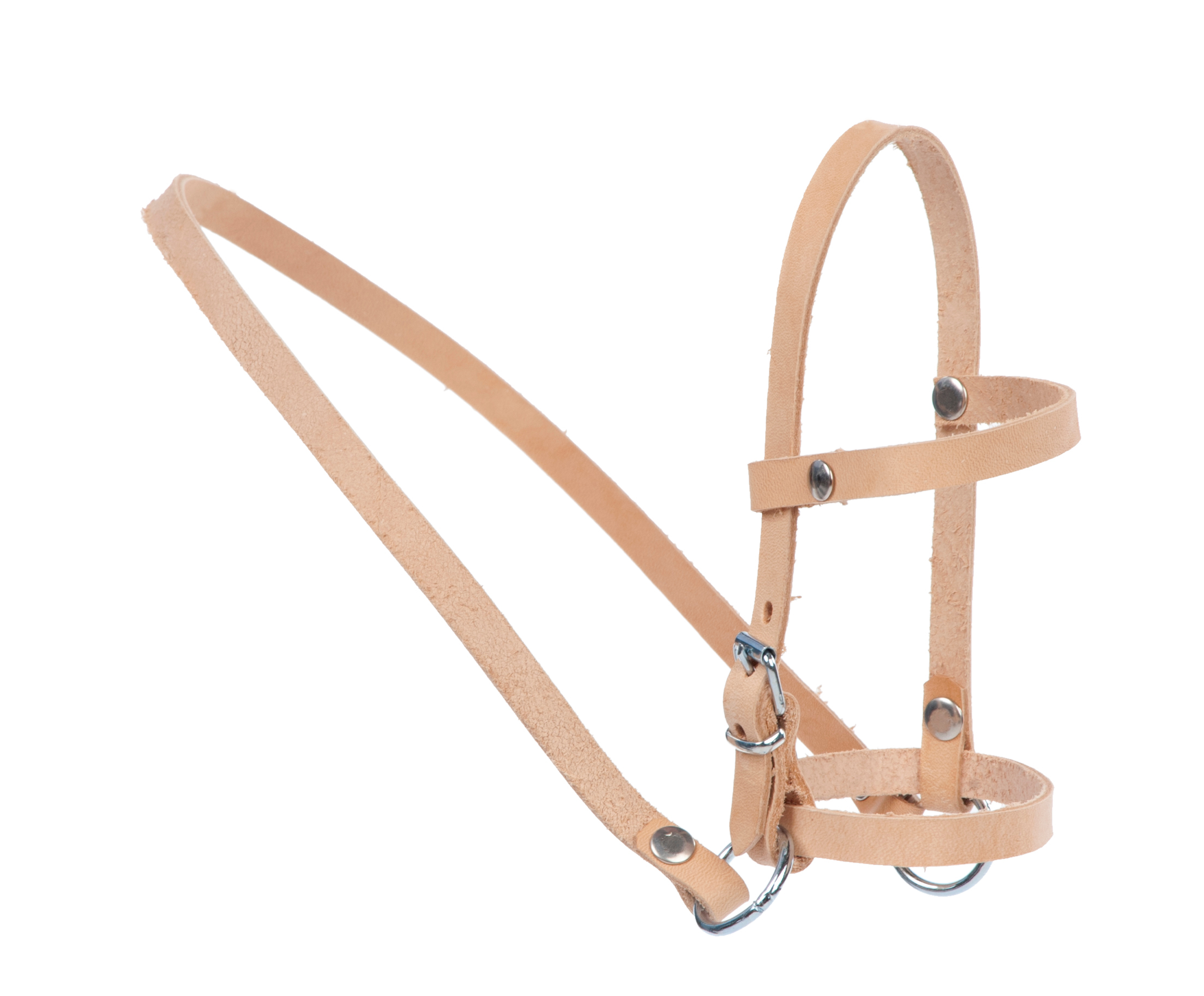Halfter für kleines Reitpferd Pauline, Leder