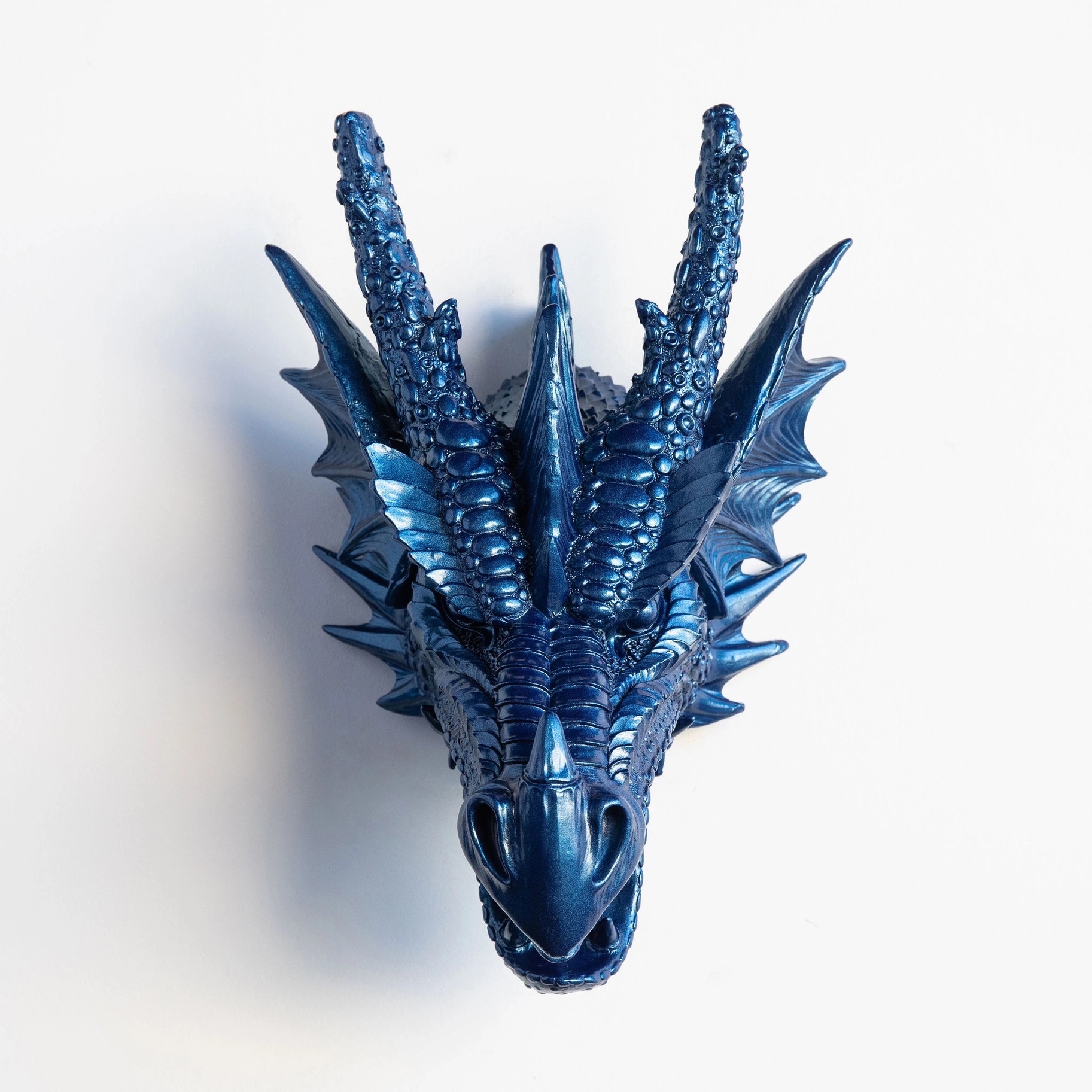 Drachenkopf, blau