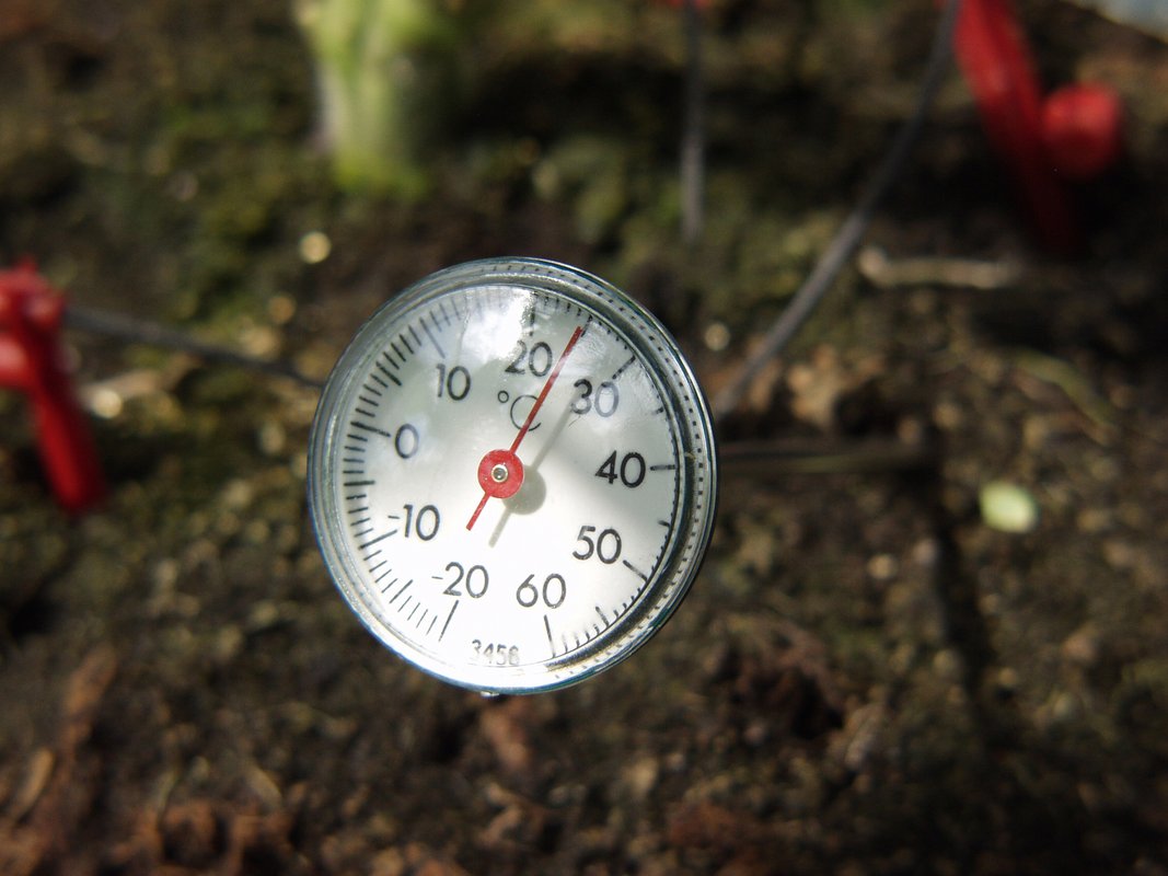 Erdthermometer zur Kontrolle der Bodentemperatur