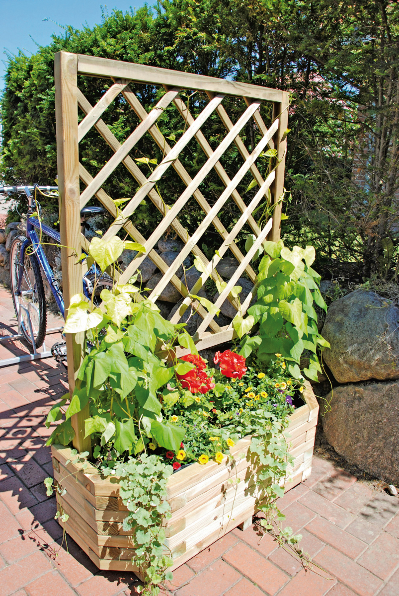 Rankgitter HORST für Blumenkübel, 90 cm breit