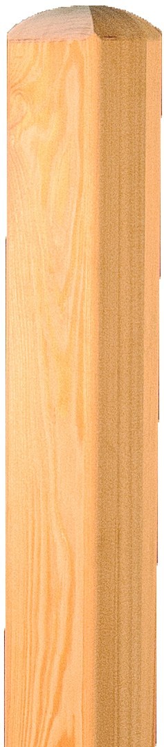 T&J Pfosten Sibirische Lärche mit Bischofsmütze