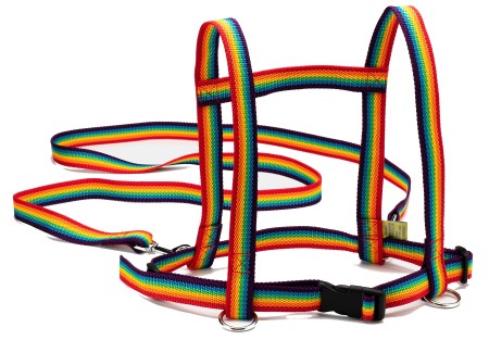Der Zügelmatz® Pferdespielleine, Regenbogen